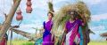 Actress Nayanthara Viswasam Movie Latest Stills HD