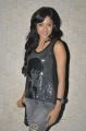 Telugu Actress Vithika posing in Black Dress Photo Shoot Gallery