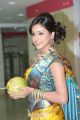 Actress Vithika Cute Photos at Kalanikethan, Hyderabad