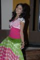 Actress Vithika Sheru Hot Photos at Prema Ishq Kadhal Press Meet