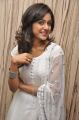 Actress Vithika Sheru Images @ Prema Ishq Kadhal PM