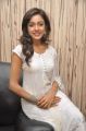 Actress Vithika Sheru Images @ Prema Ishq Kaadhal PM