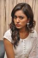 Actress Vithika Sheru Images @ Prema Ishq Kadhal PM