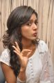 Actress Vithika Sheru Images @ Prema Ishq Kadhal PM