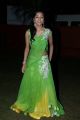 Telugu Actress Vithika Latest Images @ Prema Ishq Kadhal Audio Release