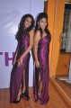 Vivel India Miss South 2011 Press Meet Pictures