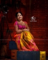 TV Actress VJ Chithra Silk Saree Photoshoot Pics