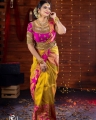 Tamil TV Actress Chithra in Silk Saree Photoshoot Pictures