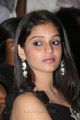 Actress Neha at Vu Movie Audio Launch Stills