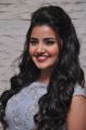 Actress Anupama Parameswaran @ Vunnadi Okate Zindagi Pre Release Function Photos