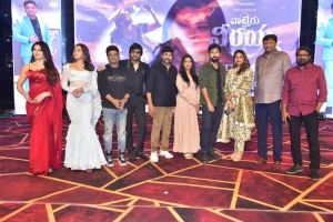 Waltair Veerayya Movie Pre Release Event Vizag Stills