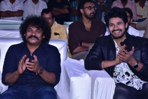 Waltair Veerayya Pre Release Event Vizag Stills