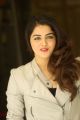 Nannu Vadili Neevu Polevule Actress Wamiqa Gabbi Photo Gallery