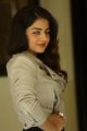 Nannu Vadili Neevu Polevule Actress Wamiqa Gabbi Photo Gallery