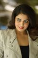 Nannu Vadili Neevu Polevule Actress Wamiqa Gabbi Photo Gallery