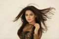 Telugu Actress Wamiqa Gabbi Photoshoot Images