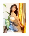 Actress Wamiqa Gabbi Latest Photoshoot Stills