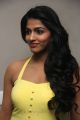 Actress Dhansika at 9th WE AWARDS 2013 Function Photos