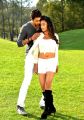 Prince, Jyoti Sethi in Where is Vidya Balan Movie Hot Stills