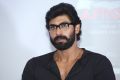 Rana Daggubati @ Windsong Music Fest 2014 Press Meet, Hyderabad, Telangana