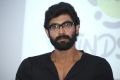 Rana Daggubati @ Windsong Music Fest 2014 Press Meet, Hyderabad, Telangana