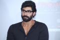 Rana Daggubati @ Windsong Music Fest 2014 Press Meet, Hyderabad, Telangana