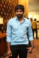 Director Gopichand Malineni @ Winner Pre-Release Function Stills