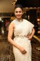 Rakul Preet Singh @ Winner Pre-Release Function Stills