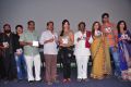 Writer Movie Audio Launch Stills