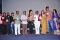 Writer Movie Audio Launch Stills