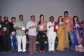 Writer Movie Audio Launch Stills