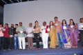 Writer Movie Audio Launch Stills