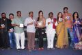 Writer Movie Audio Launch Stills