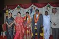 Tamil Actress Y Vijaya Daughter Wedding Reception Photos