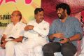 Ya Ya Movie Audio Launch Stills