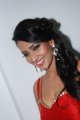 Sanjana Singh in Yaarukku Theriyum Audio Launch Pictures
