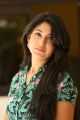Actress Yagna Shetty Photos @ Lakshmi's NTR Movie Press Meet