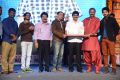 Yamaleela 2 Movie Audio Success Meet Stills