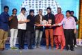 Yamaleela 2 Movie Audio Success Meet Stills