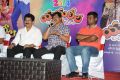 Yamaleela 20 Years Completion Press Meet Stills