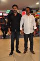 Jayam Ravi @ Yamapasam Premiere Show Stills