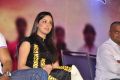 Yami Gautam Latest Photos at Gouravam Trailer Launch