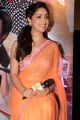Actress Yami Gautam in Orange Saree Hot Photos