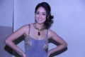 Telugu Actress Yami Gautam Hot Stills