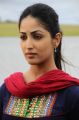 Gouravam Movie Heroine Yami Gautam Latest Photos