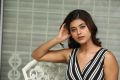 Actress Yamini Bhaskar Pics @ Bhale Manchi Chowka Beram Movie Interview