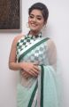 Telugu Actress Yamini Bhaskar in Saree Photos