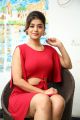 Actress Yamini Bhaskar Photos @ Elite New Year Eve 2019 Ticket Launch