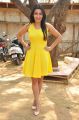 Actress Yamini Malhotra Stills @ Chuttalabbayi Press Meet