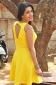 Actress Yamini Malhotra Stills @ Chuttalabbayi Press Meet